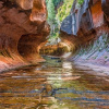 Отель Pecan Point, фото 19