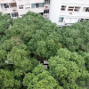 Отель MZapartments Belfort Roxo II, фото 19