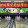 Отель Yingdu New Jinjiang Hotel Xuzhou, фото 3