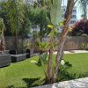 Отель Villa Michelle 8 in Protaras, фото 16