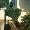 Отель Villa Marilena, фото 16