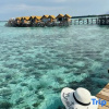 Отель Jelly Sea Resort, фото 6