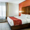 Отель Comfort Suites Tyler South, фото 6