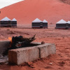 Отель Lunar Camp- Awad Karim Wadi Rum, фото 16