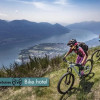 Отель Ascona Lodge, Pool & Garden Retreat, фото 29