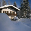 Отель Ferienhaus Wildbachblick, фото 3