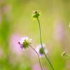 Отель Saimaa Experience, фото 1