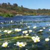 Отель Finca La Ramallosa, фото 12