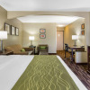 Отель Comfort Inn & Suites Kansas City - Northeast, фото 36