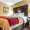 Отель Comfort Inn, фото 8