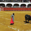 Отель Plaza de Toros de Almaden, фото 5
