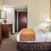 Отель Comfort Suites Raleigh Durham Airport/RTP, фото 3
