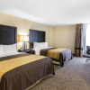 Отель Comfort Inn & Suites, фото 3