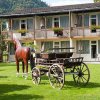 Отель Jungfrau Hotel Annex Alpine Inn, фото 19