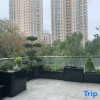 Отель Hilton Garden Inn Luoyang Kaiyuan Avenue, фото 12