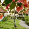 Отель ON THE Cliff IN THE Caribbean SEA - Villa Ilaria, фото 2