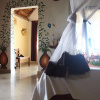 Отель Caliente Beach Lodge, фото 14