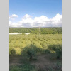 Отель Villa in 8 Ettari di Campagna, a 20' Dal Mare, фото 16