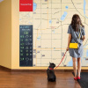 Отель TownePlace Suites El Paso East/I-10, фото 14