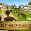 Отель Wana Horse and Ostrich Farm, фото 1