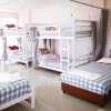 Отель Chogun Hostel&Homestay, фото 1