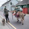 Отель Dingle Harbour Cottages 3 Bed Sleeps 6, фото 15