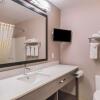 Отель Quality Inn & Suites, фото 46