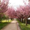 Отель Garni an der Eissporthalle, фото 13