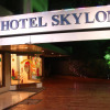Отель Skylon, фото 1
