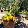 Отель Suleymans Garden, фото 1
