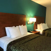 Отель Best Western Tallahassee-Downtown Inn & Suites, фото 3
