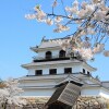 Отель Pacific Hotel Shiroishi, фото 28