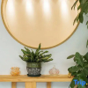Отель Yunshang Grassland Anji Suxi Landscape Homestay, фото 8