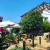 Отель Villa Zeus Otel, фото 40