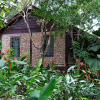 Отель Belize Botanic Gardens' Cottages and Jungle Guest House, фото 4