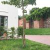 Отель Ferienwohnung an der historischen Stadtmauer, фото 8