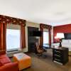 Отель Hampton Inn & Suites Tampa Northwest/Oldsmar, фото 7