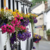 Отель The Horse & Farrier Inn and The Salutation Inn, фото 36