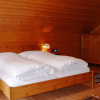Отель Chalets Trafögl, фото 2