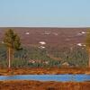 Отель STF Grövelsjön Fjällstation, фото 14