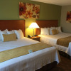 Отель Wingfield Inn and Suites, фото 7