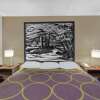 Отель Super 8 by Wyndham Knoxville North/Powell, фото 4