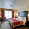 Отель Comfort Inn And Suites Amarillo, фото 3