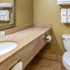 Отель Quality Inn & Suites, фото 9