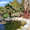 Отель Bubbling Wells Oasis, фото 14