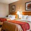 Отель Comfort Inn, фото 7