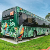 Отель The Bus Collective, фото 4