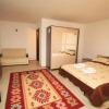 Отель Pensiunea Ciobanelu, фото 5