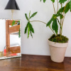 Отель Picturesque Flat With Swimming Pool, фото 2
