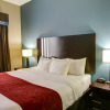 Отель Comfort Suites Bastrop, фото 3